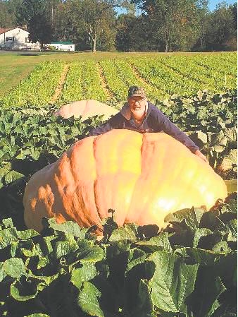 101815_Pumpkin