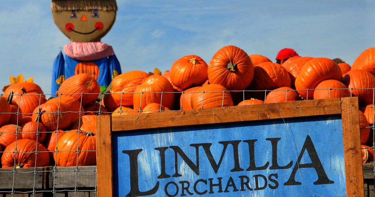 Ready for a gourd time? Google Maps guide to Halloween
