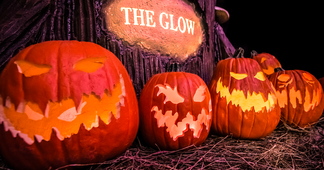 The Glow' is a Halloween wonderland in Philadelphia's Fairmount