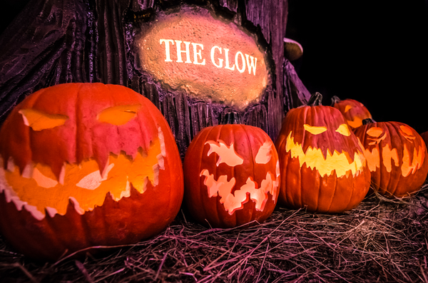 The Glow Jack O'Lantern Experience illuminates Fairmount Park