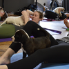 Puppy Yoga at SWEAT Fitness