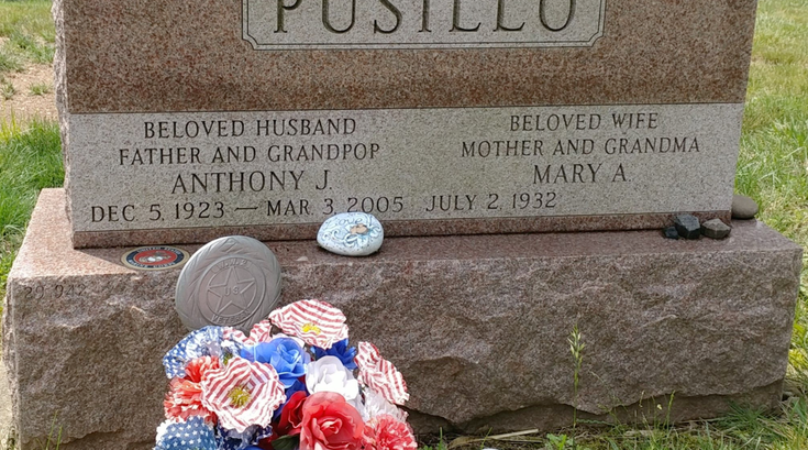 Limited - Pusillo Veterans Day