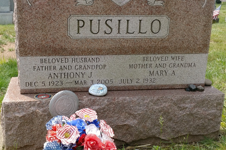Limited - Pusillo Veterans Day