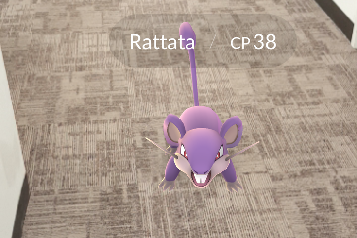 Ratata Augmented Reality