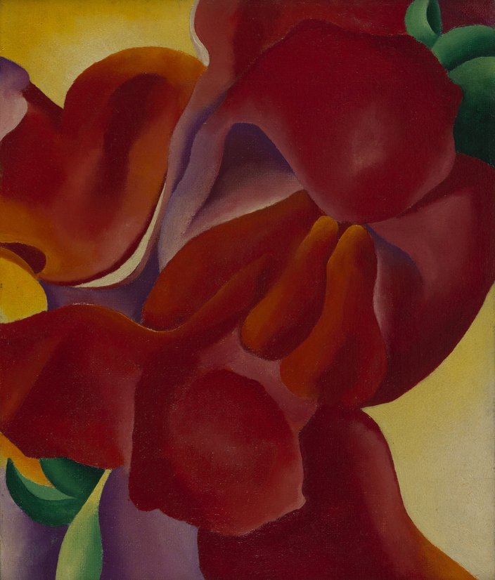 Red Canna O'Keeffe