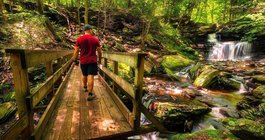 Limited - Ricketts Glen State Park Falls Trail