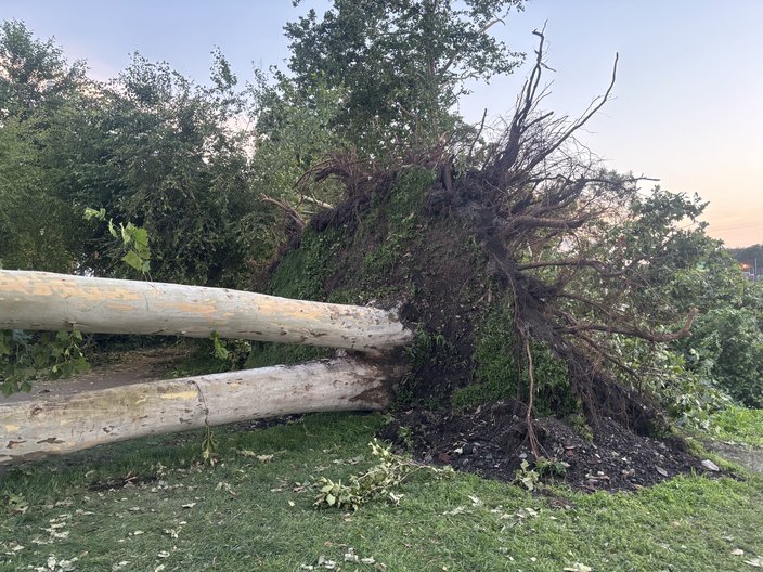 River Trail damage