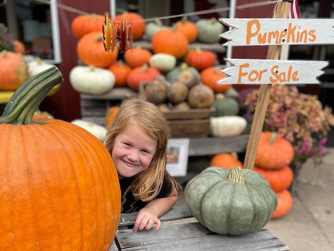 Limited - Rohrbach's Fall Pumpkins.jpg