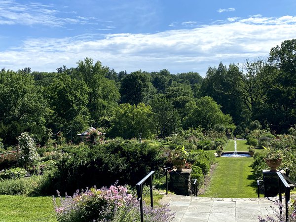 Morris Arboretum reopening for nature walks, picnics