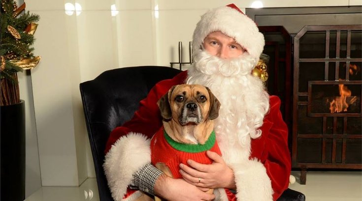 Santa Paws at Hotel Palomar