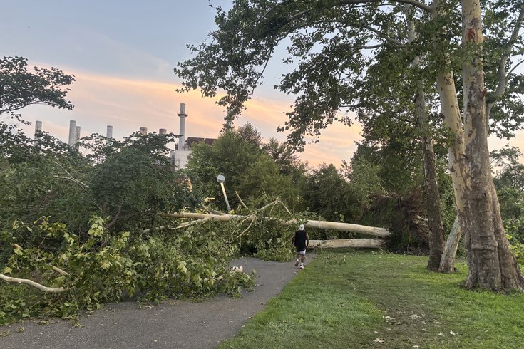 Schuylkill River Trail cleanup
