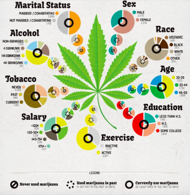 Marijuana Infographic