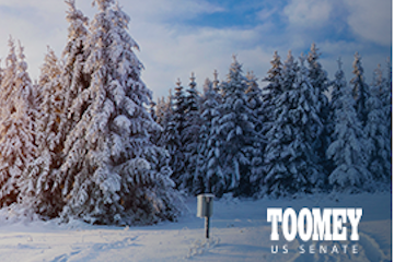 Toomey Snowscape
