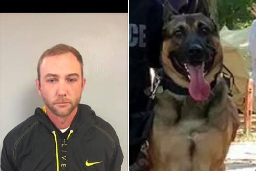 K9 and Suspect 