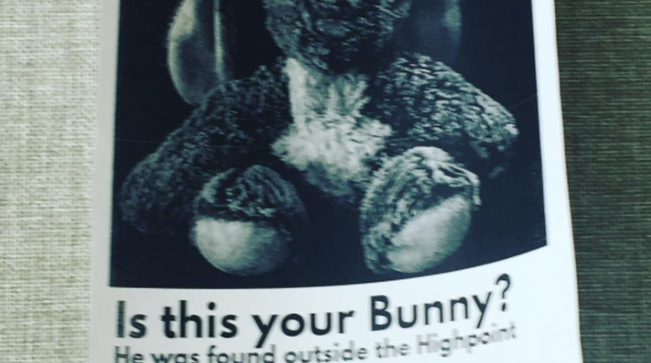 Found Stuffed Bunny 