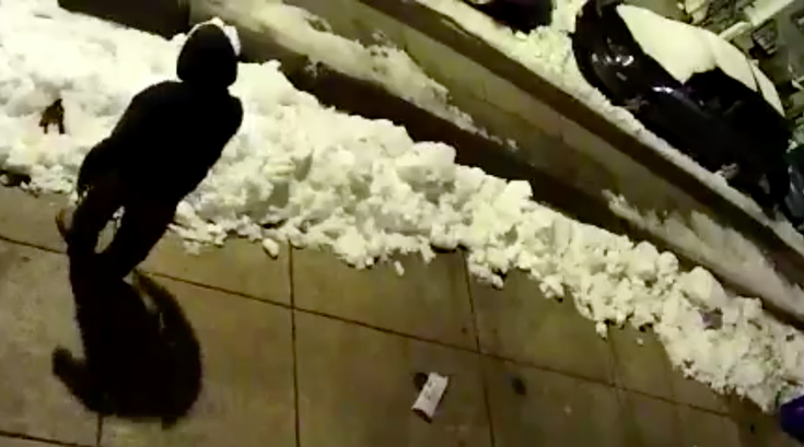 Sidewalk Poop