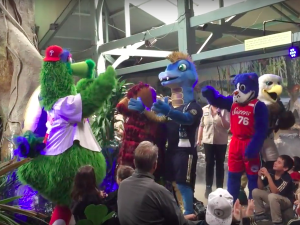 WATCH: The Philadelphia Union unveils its first-ever mascot: A