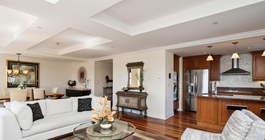 Limited - Allan Domb - 1701-15 locust st 1809