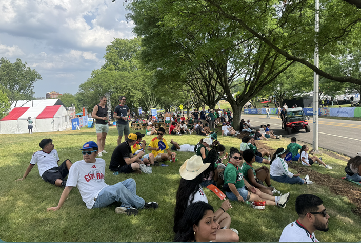 FIFA Fan Festival shade