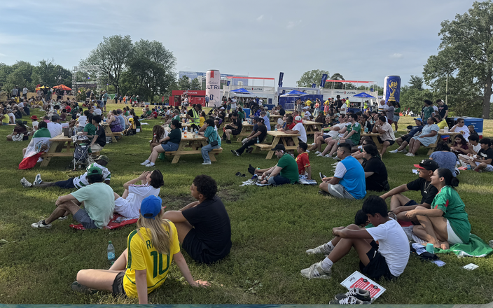 FIFA Fan Festival crowd