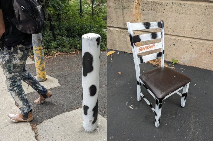 Shamcow: pole and Emily's chair