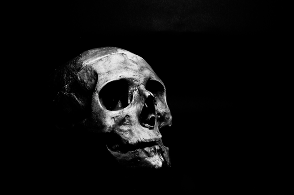 Skeleton Study