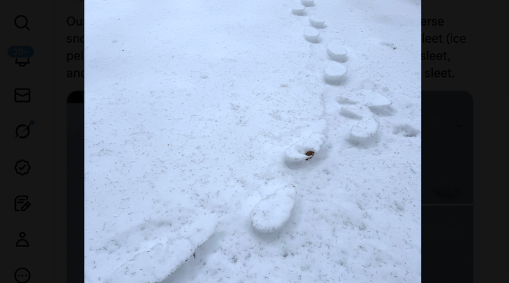 Reverse Footprints Snow