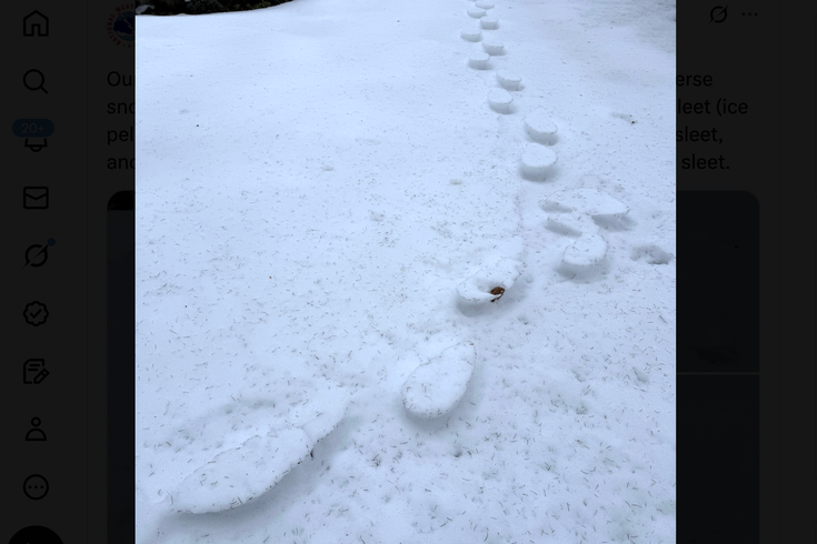Reverse Footprints Snow