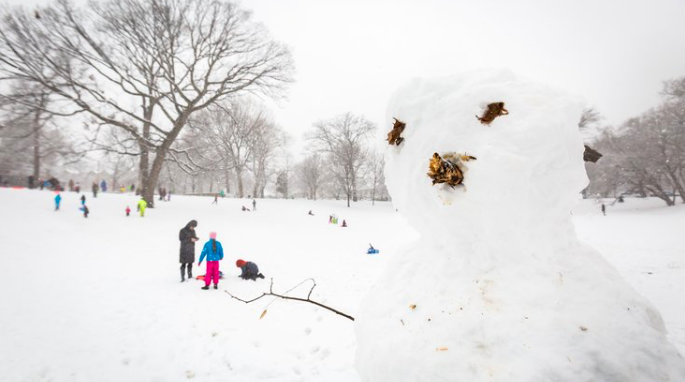 Snow 2019 First
