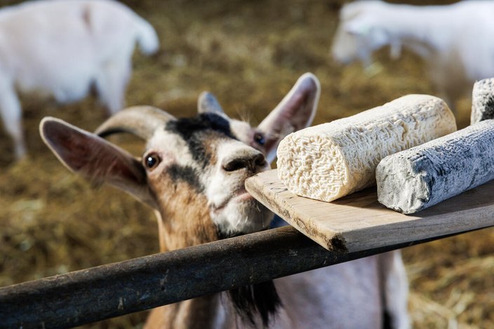 Limited - St. Tola Goat Ceese Farm