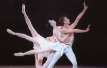 Limited - PA Ballet Stravinsky 2019