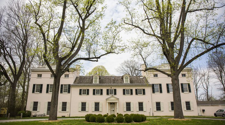StrawberryMansion_M.Fischetti_01.jpg