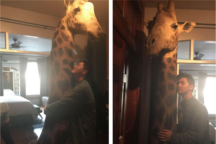 Stuffed Giraffe