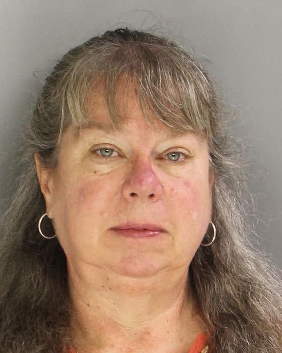 Accountant Theft