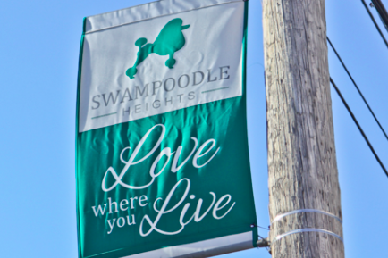 030615_Swampoodle