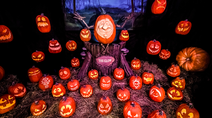 pumpkins at The Glow