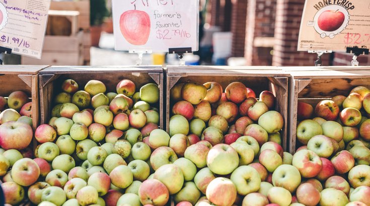 ThreeSpringsFruitFarm-PhillyVoice (1 of 21).jpg