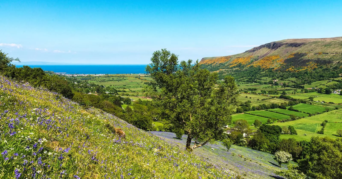 Philadelphia’s deep Irish roots make Ireland a meaningful trip for America’s 250th