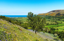 Tourism Ireland - Glenariff, County Antrim