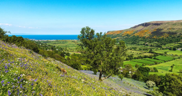 Tourism Ireland - Glenariff, County Antrim