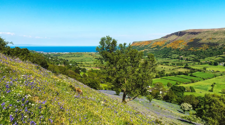 Tourism Ireland - Glenariff, County Antrim