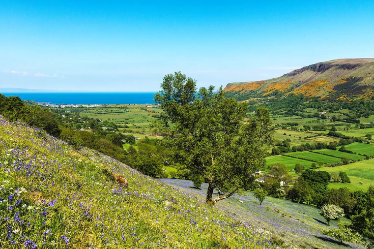 Tourism Ireland - Glenariff, County Antrim