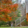 Tyler Arboretum - Visit Philly