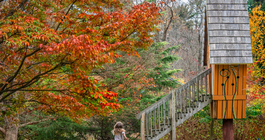 Tyler Arboretum - Visit Philly