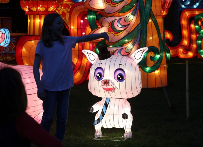 Philadelphia Chinese Lantern Festival Pig