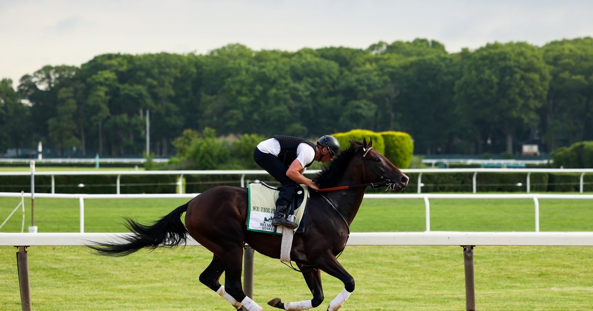 Belmont best bets: This time, take the favorite - Vimarsana News