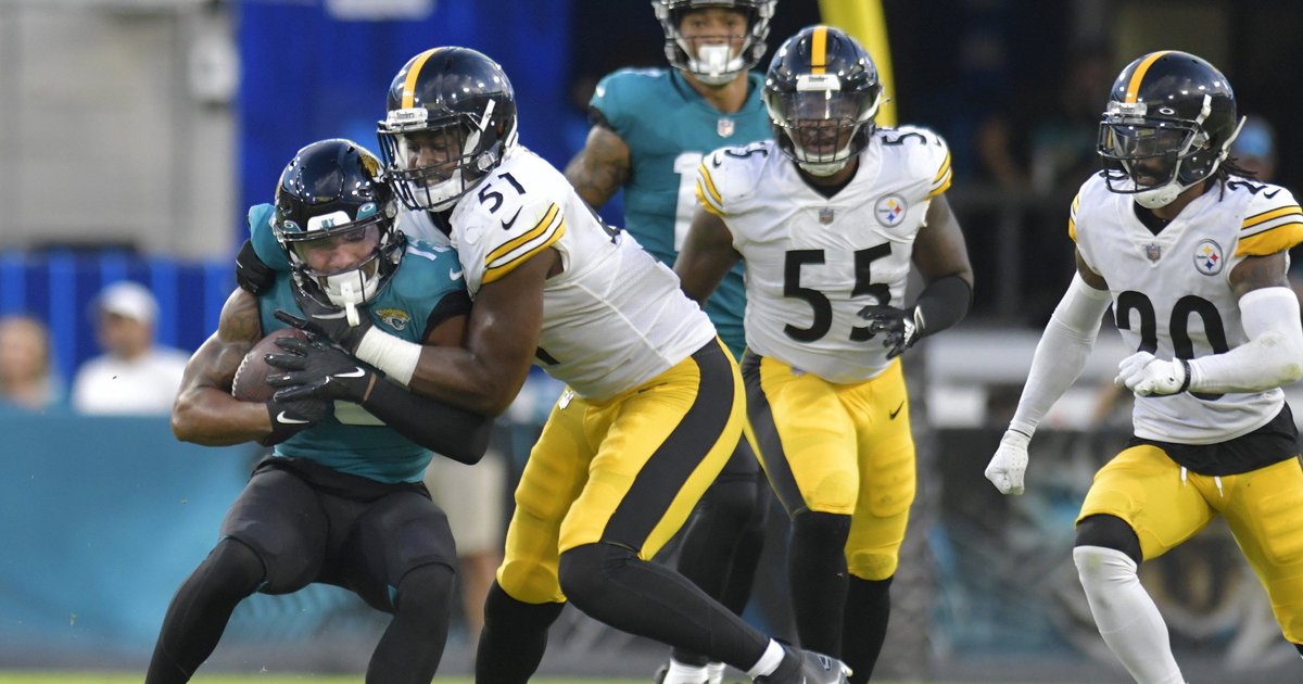 What does Myles Jack bring to the Pittsburgh Steelers' defense