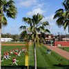 Phillies-spring-training-workout_022023_USAT
