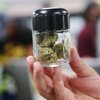 cannabis PA house