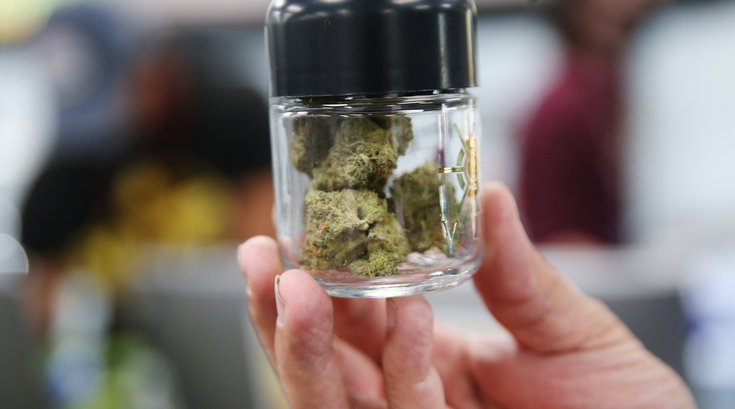 cannabis PA house